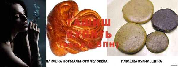 шишки Балахна