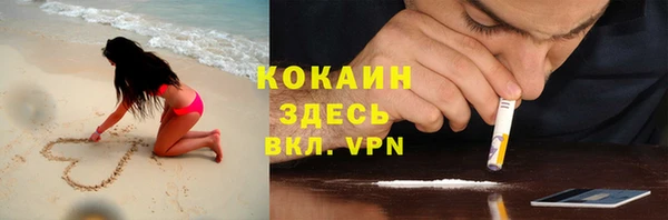 шишки Балахна