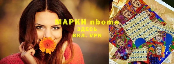 шишки Балахна