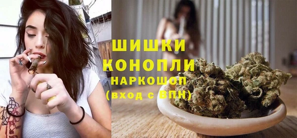 шишки Балахна