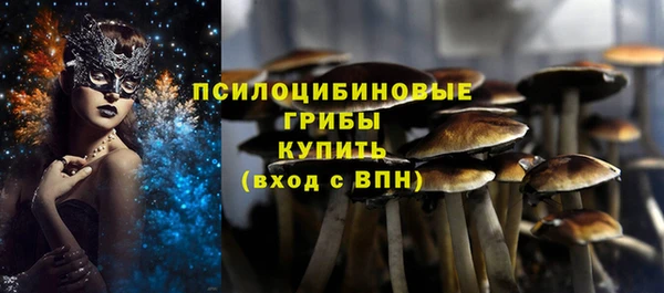 шишки Балахна