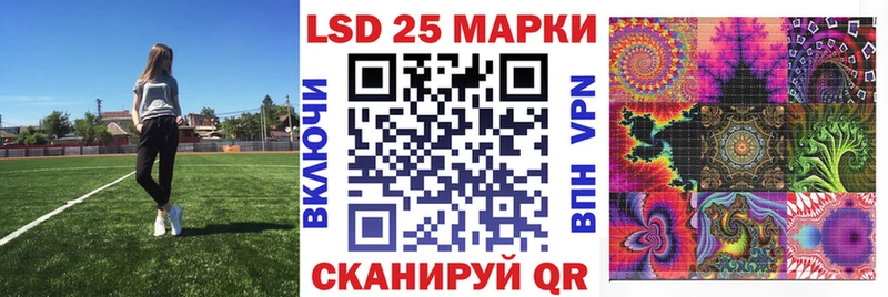 где купить Губаха Марки 25I-NBOMe 1,5мг